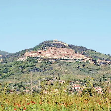 Il Marinocchio Di Malatesti *